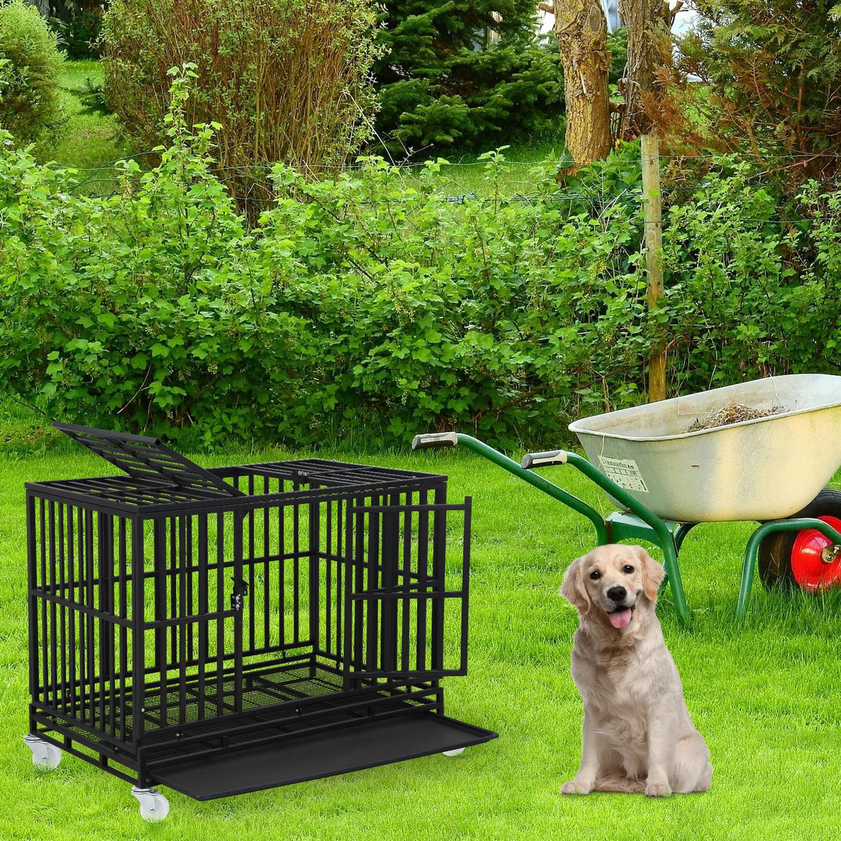 48 Inch Heavy Duty Dog Crate with Plastic Tray Double Doors O59991