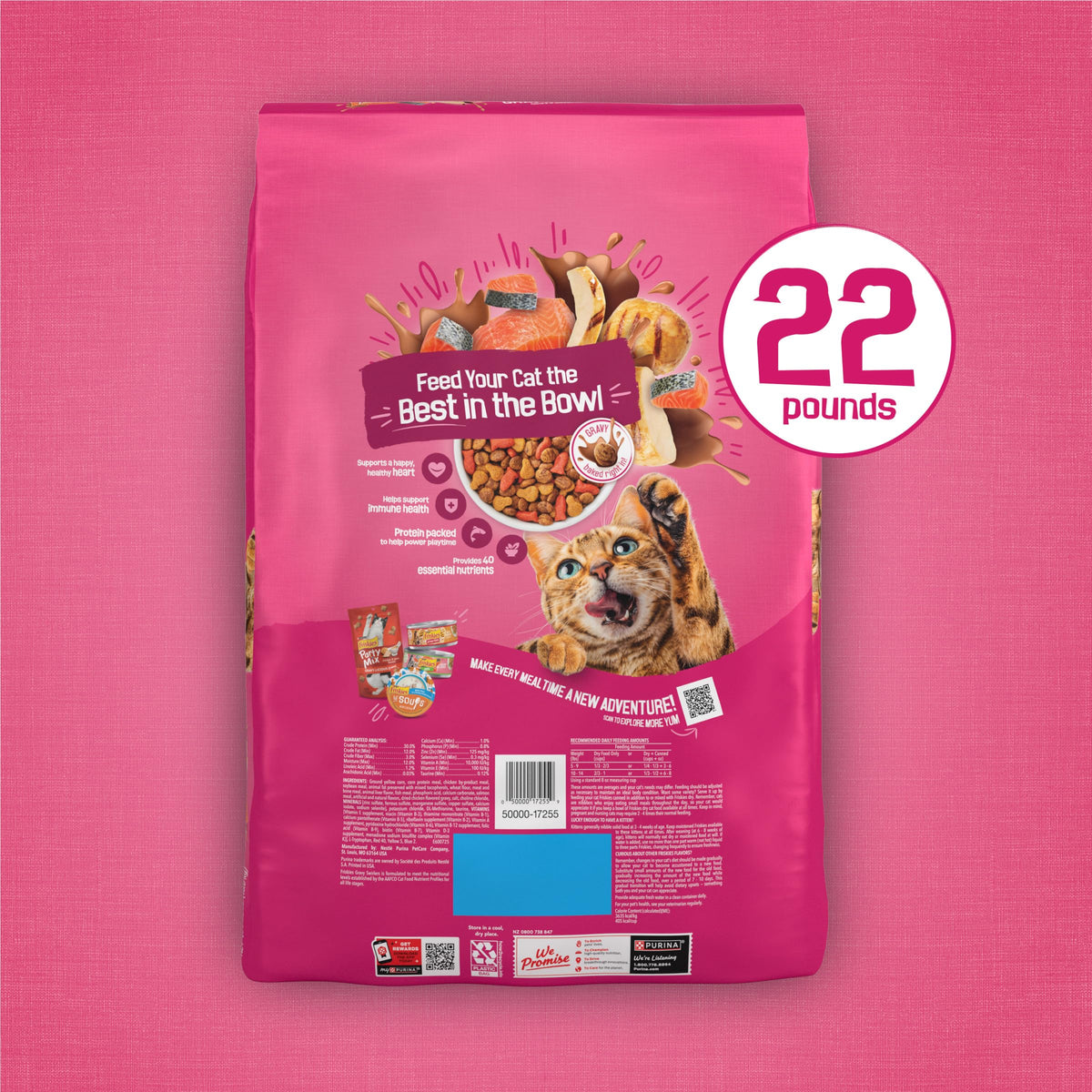 Dry Cat Food, Chicken & Salmon, 22 lb Bag P3851