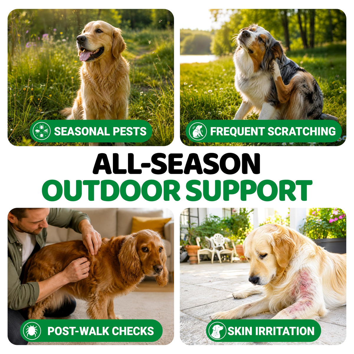 Natural Oral Flea and Tick Prevention for Dogs, 170 Chews J4389