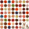 60 Pcs Fall Pet Bow G64178
