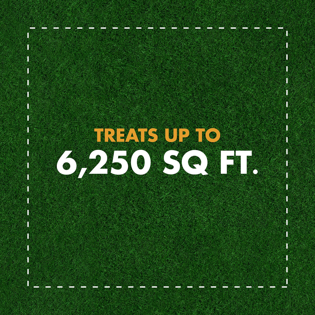 Weed and Crabgrass Killer Concentrate 40 Oz F8891