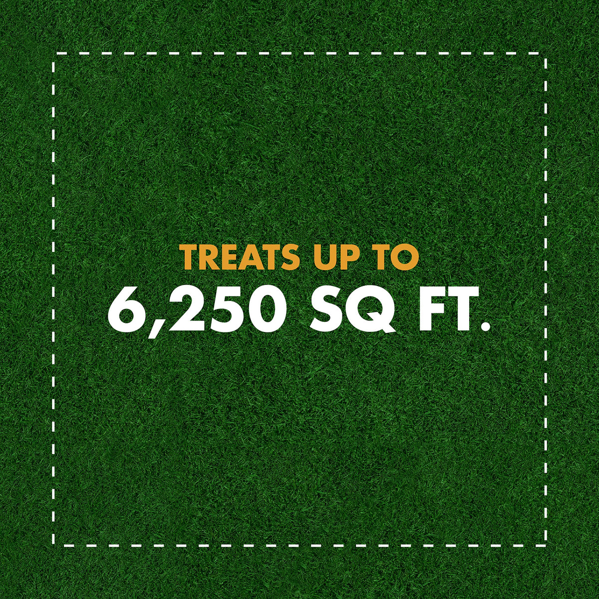 Weed and Crabgrass Killer Concentrate 40 Oz F8891